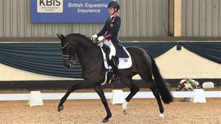 
Charlotte Dujardin Height, Weight, Net Worth, Age, Birthday, Wikipedia, Who, Nationality, Biography 