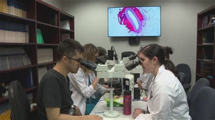 Five terrifying details surrounding the murder of Texas pathologist Dr. Joseph Sonnier