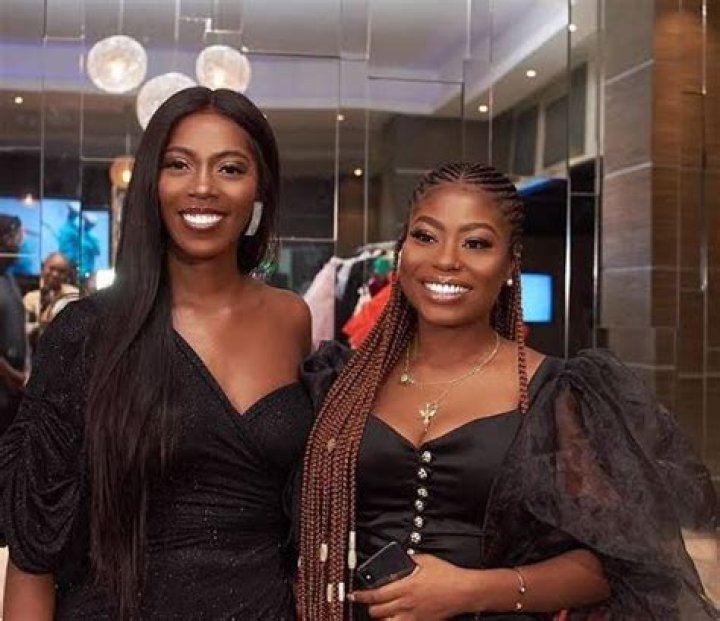 
“I want to be Tiwa Savage’s puppy” – Sophia Momodu says as Tiwa Savage orders diamonds for her puppy [Video] 