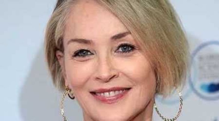 Sharon Stone Height, Weight, Net Worth, Age, Birthday, Wikipedia, Who, Instagram, Biography