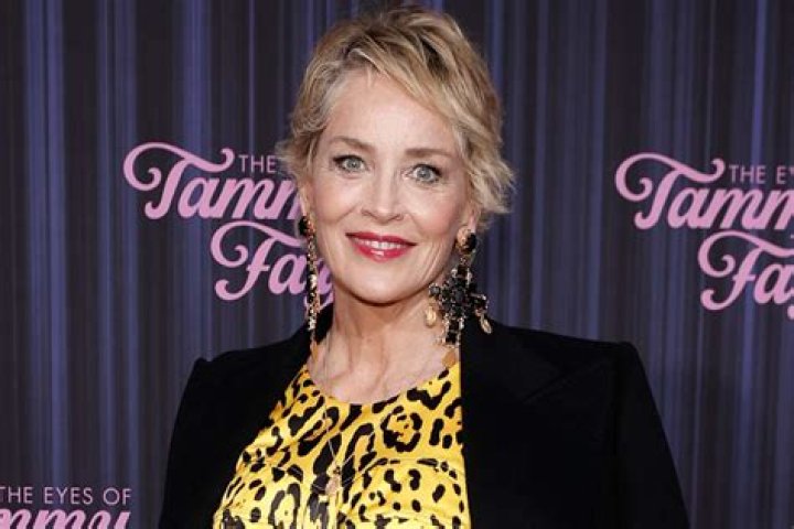 
Sharon Stone Says Backlash Over AIDS Activism ‘Did Destroy My Career’: ‘I Had to Stick with It’ 