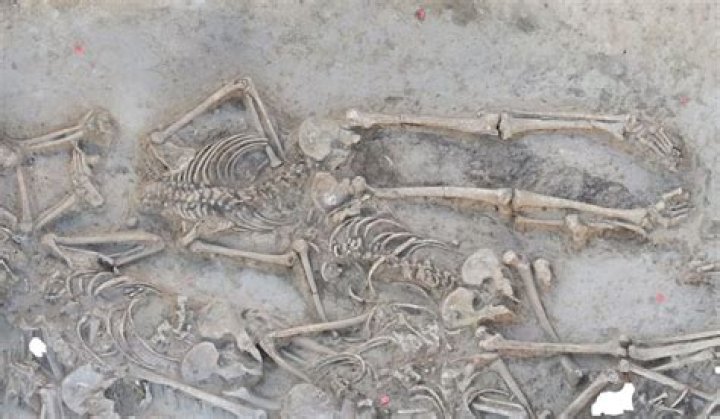 
Two headless bodies found, heads still missing 