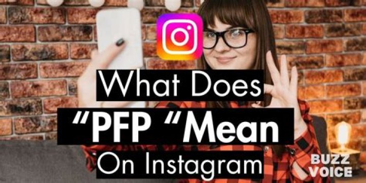 What Does PFP Mean On Tik Tok? PFP Meaning In Text Explained And All İnformation